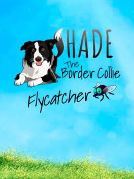SHADE The Border Collie Flycatcher