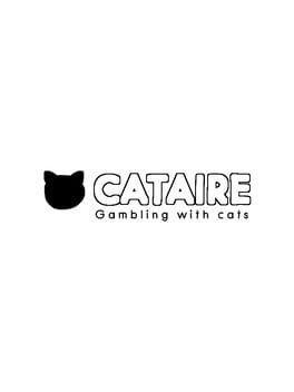 CATAIRE - Gambling with cats