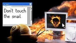 Don't Touch the Snail