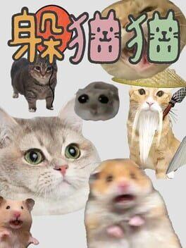 躲猫猫